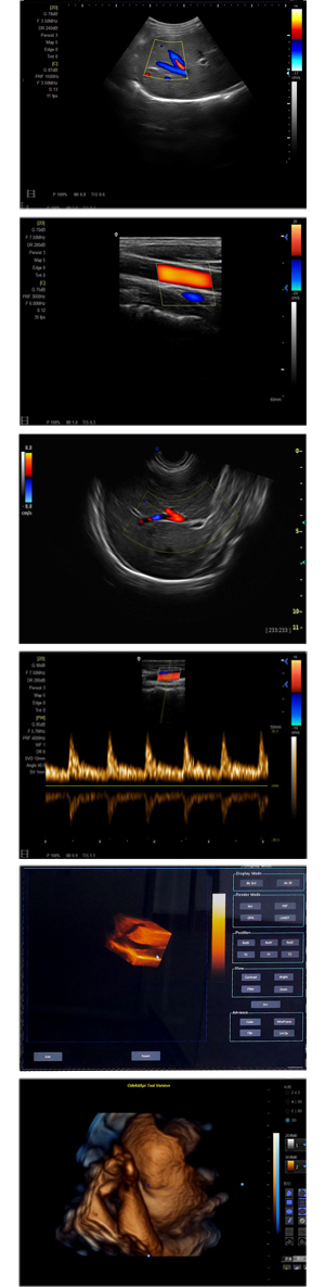 圖像合集1.jpg 圖像合集1.jpg